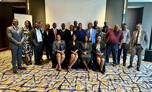 First law reform advisory project