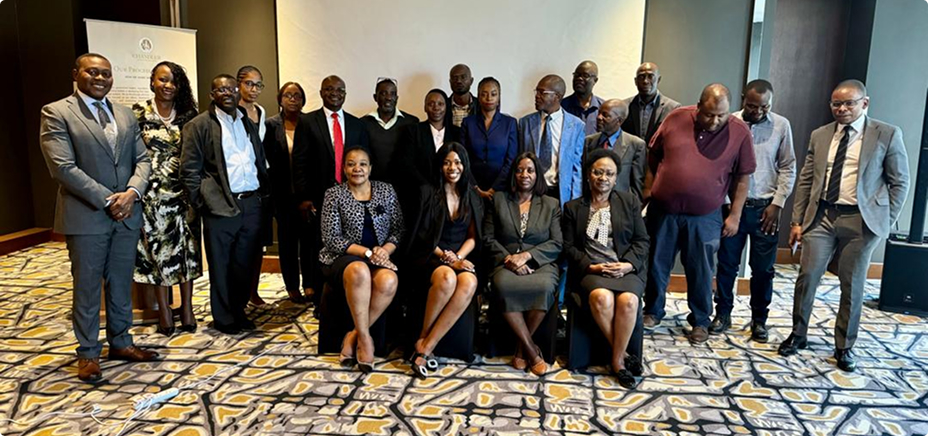 From Draft to Reality: A Collaborative Success Story in Finalising Zambia’s PPP Regulations